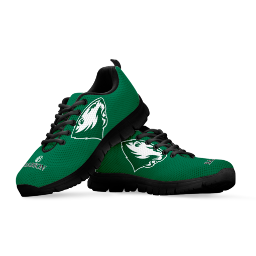 NCAA Babson Beavers  Breathable Running Shoes