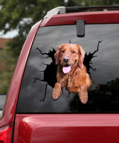 Golden Retriever Sticker Car Funny Faces Removable Stickers Presents For