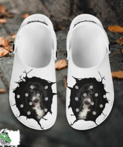 bernedoodle custom name crocs shoes love dog crocs 2 gbyrd6