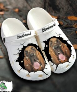 bloodhound custom name crocs shoes love dog crocs 1 orihzv