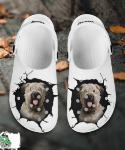 bouvier custom name crocs shoes love dog crocs 2 pakggp