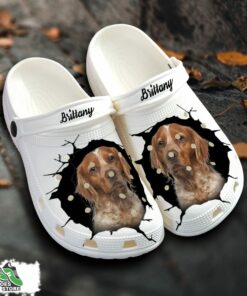 brittany custom name crocs shoes love dog crocs 1 lnhptr