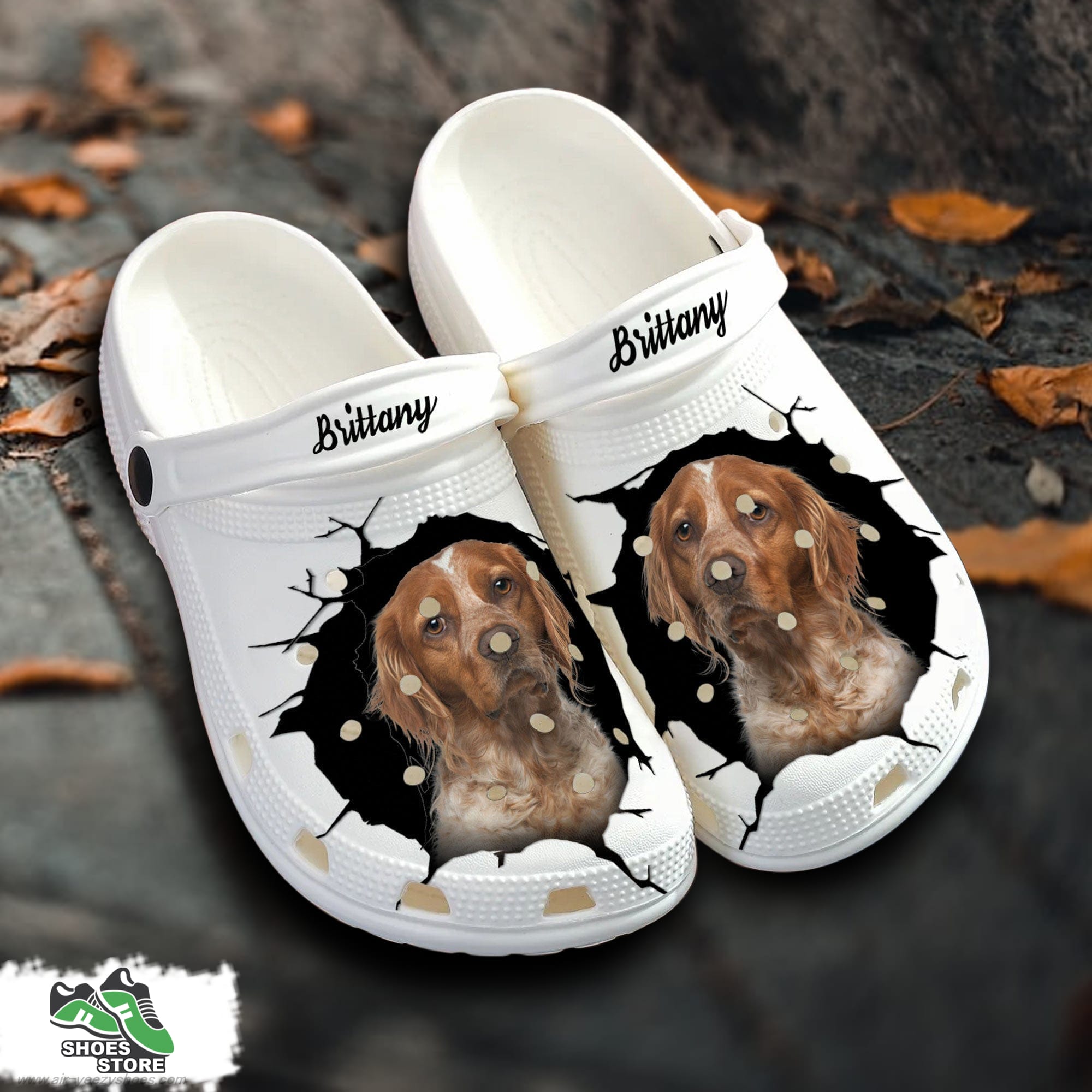 Brittany Custom Name Crocs Shoes Love Dog Crocs