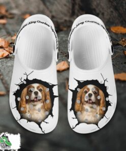 cavalier king charles spaniel custom name crocs shoes love dog crocs 2 nq7zmr