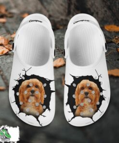 cavapoo custom name crocs shoes love dog crocs 2 gyvery