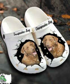 chesapeake bay custom name crocs shoes love dog crocs 1 lsujsq