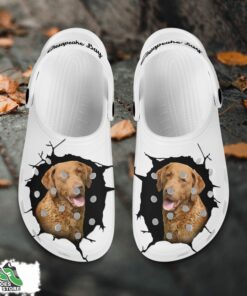 chesapeake bay custom name crocs shoes love dog crocs 2 bmfpdo