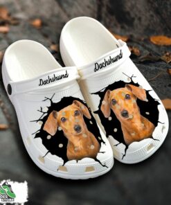 dachshund custom name crocs shoes love dog crocs 1 c1co41