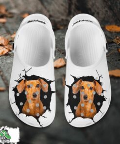 dachshund custom name crocs shoes love dog crocs 2 l9vafp