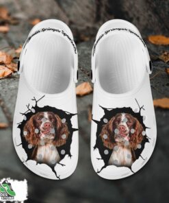 english springer spaniel custom name crocs shoes love dog crocs 2 qgoqfk