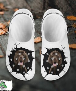 german shorthaired pointer custom name crocs shoes love dog crocs 2 aitwxl