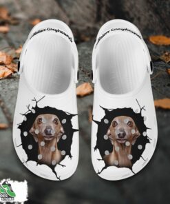 italian greyhound custom name crocs shoes love dog crocs 2 d94d4a