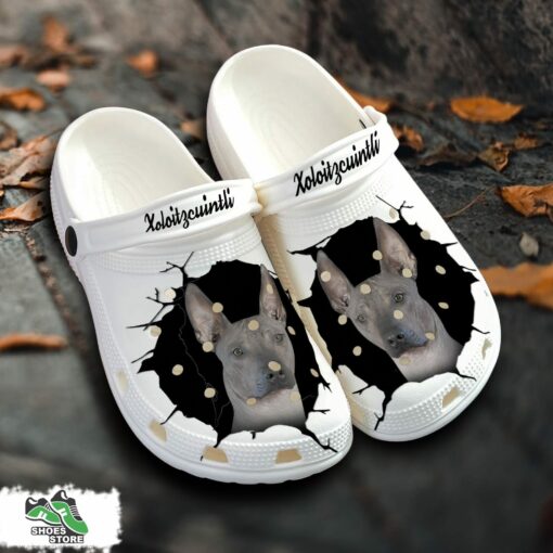 Xoloitzcuintli Custom Name Crocs Shoes, Love Dog Crocs