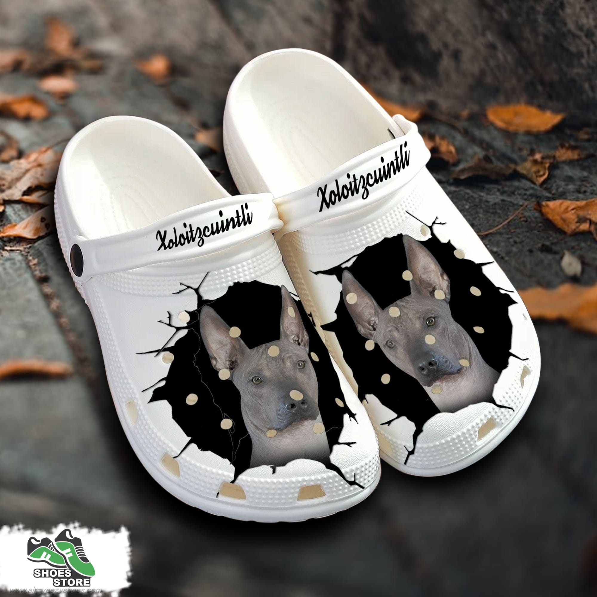 Xoloitzcuintli Custom Name Crocs Shoes Love Dog Crocs